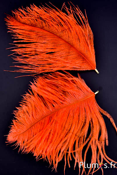 Hanger struisvogelhoofd - 17-20 cm - bloedsinaasappel